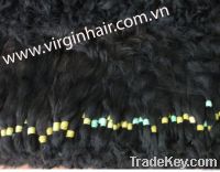 Human hair Vietnam