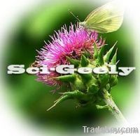 Milk thistle extract silymarin silybum marianum silibinin Milk Thistle