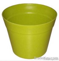 Biodegradable Flower Pot