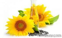 Sunflower Oil