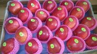 Fresh Huaniu Apples