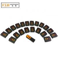 Hot sale+1 digital remote with 20 receivers+ sequential fire firing system+adjust different time