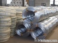 Galvanized Iron Wire