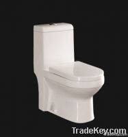 Washdown One-piece toilet