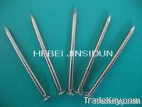 Common Nail with cheapest price 
