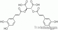 Echinacea Purpurea extract
