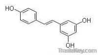 Giant knotweed extract &amp; Resveratrol
