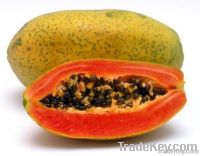 PAPAYA