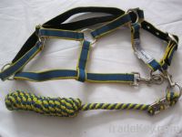 Harness