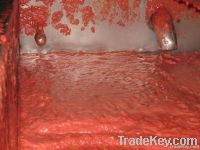 Tomato  Paste