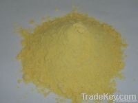 Yellow Corn Flour