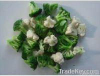 frozen winter mix