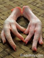 Export Chicken Paw | Chicken Feet Suppliers | Poultry Feet Exporters | Chicken Feets Traders | Processed Chicken Paw Buyers | Frozen Poultry Paw Wholesalers | Low Price Freeze Chicken Paw | Best Buy Chicken Paw | Buy Chicken Paw | Import Chicken Paw | Chi From Hungary