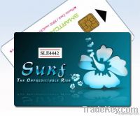 Secure Memory Card (SLE-4442)