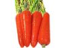 vegetables/fresh carrots,cabbages