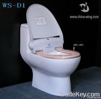 Toilet Seat with Constant Temperature