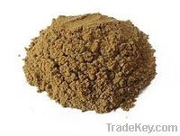 We Sell Sell Frozen Sardines Mackerels