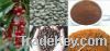 Arabica soluble caffea