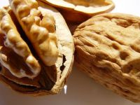 WALNUT IN SHELL