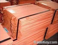 Copper  Cathode