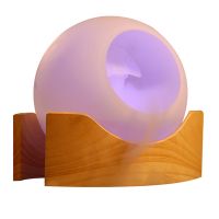 Ultrasonic Mist Humidifier / Mist / Aromatherapy Fountain