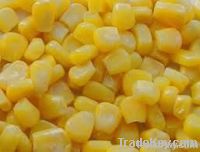 FROZEN SWEET CORN