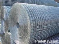 Welded wire  mesh(factory)