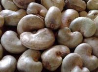 Raw Cashew Nuts &amp; Roasted Cashew Nuts | Dried Fruits | W240 Cashew Nuts Suppliers | W320 Cashew Nut Exporters | Buy WW230 Cashew Nut