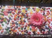 Aluminum P6.94 Rental Led Display
