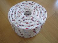 PP Ropes 