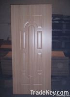 Door skin