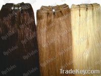 Remy human virgin wefts for extension