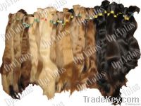 Bulk human hair for extension