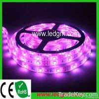 High quality flexible SMD5050 RGB LED strip light