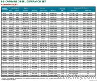 Binshi Diesel  generator set