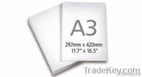 A3 Paper