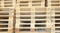 NEW Euro Pallets + Delivery