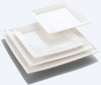 Porcelain Plates / Ceramic Plates