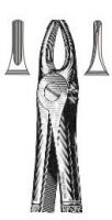 Tooth Extracting Forceps