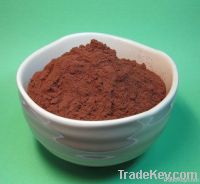 Grape Seed Extract