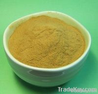 Olive Leaf Extract