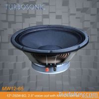 apply to column/power amplifier/12'' woofer speaker