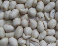 blanched peanut 36/41