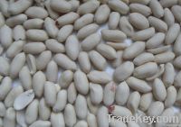 blanched peanut35/39