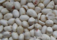 blanched peanut41/51