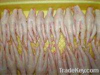  Export Chicken Paw | Chicken Feet Suppliers | Poultry Feet Exporters | Chicken Feets Traders | Processed Chicken Paw Buyers | Frozen Poultry Paw Wholesalers | Low Price Freeze Chicken Paw | Best Buy Chicken Paw | Buy Chicken Paw | Import Chicken Paw | Ch From China