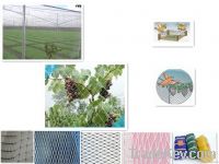 HDPE birds net for vegetables or trees/flowers