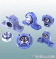 Insert Ball Bearing