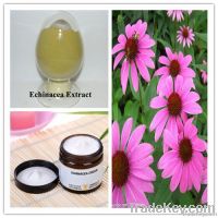 Echinacea purpurea P.E.