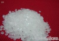 PP polypropylene